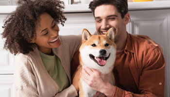 Pet Insurance